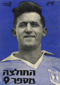 שייע גלזר החולצה מספר 9 שער הספר.jpg