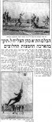 דבר 05-05-1976 (06-05-1976) הפועל חיפה.jpg