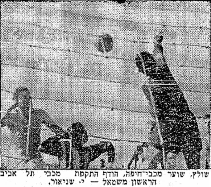 קובץ:מעריב 12-06-1955 רגע ממשחק ליגה מכבי חיפה (ב) (11.06.1955) התקפת מכבי נהדפת שניאור ראשון מימין.jpg