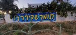 הנצחה- תומר שפירר גרפיטי.jpg