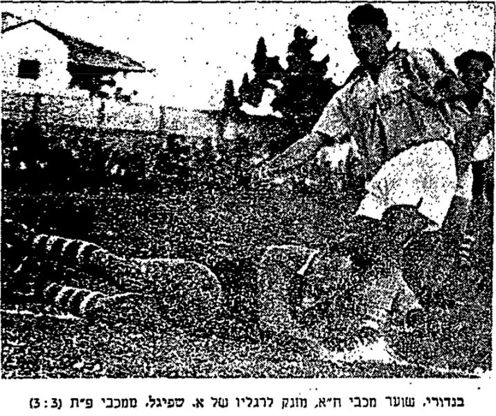 קובץ:חדשות הספורט 07-12-1955 רגע ממשחק ליגה מכבי פתח תקווה (ח) (03.12.1955) בנדורי מזנק לרגלי שפיגל.jpg