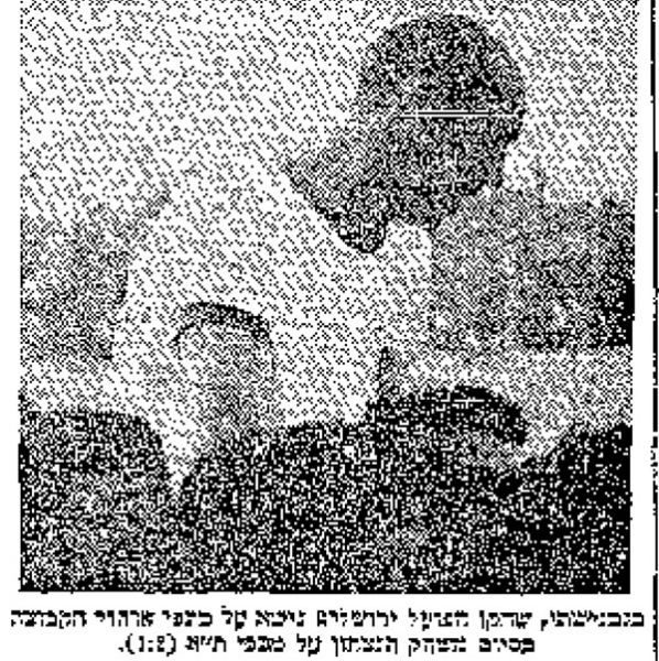 קובץ:מעריב 02-05-1970 הפועל ירושלים עיתון3.jpg